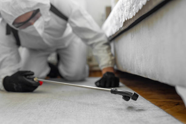 Professional Termite Control technician working in Britton, SD