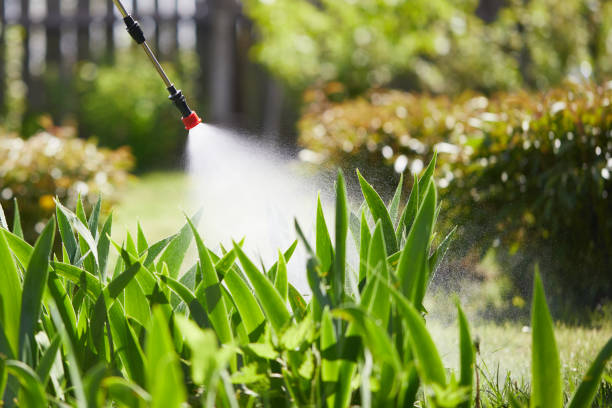 24/7 Emergency Termite Control experts in Britton, SD